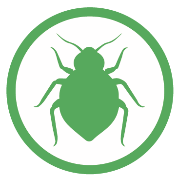 control de plagas y fumigaciones biofin