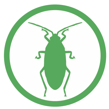 control de plagas y fumigaciones biofin