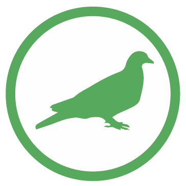 control de plagas y fumigaciones biofin