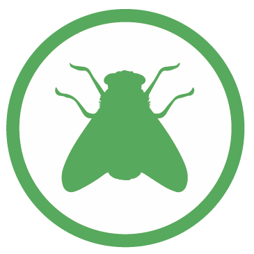 control de plagas y fumigaciones biofin