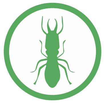 control de plagas y fumigaciones biofin